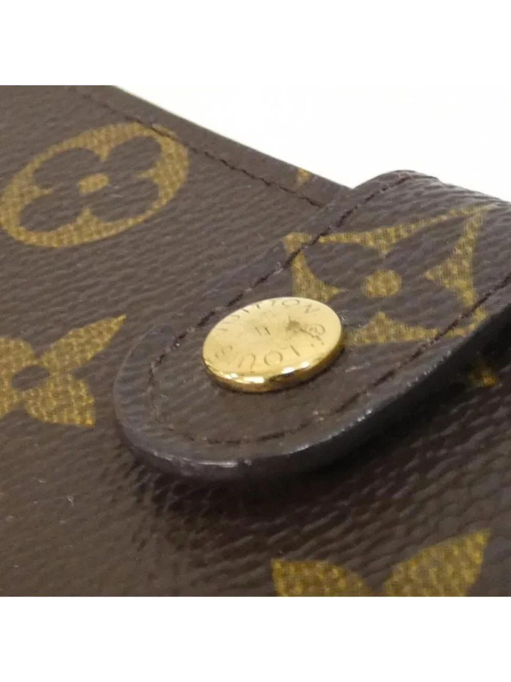 Louis Vuitton brand louis
